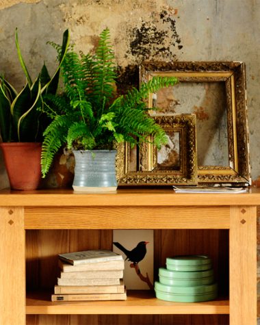 Oak bookcase, rustic oak, rustic wall, antique golden frames, blue pottery, fern2